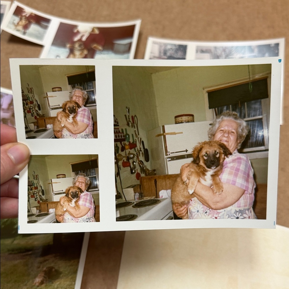 Vintage Photo Collection - Picture 3 of 11